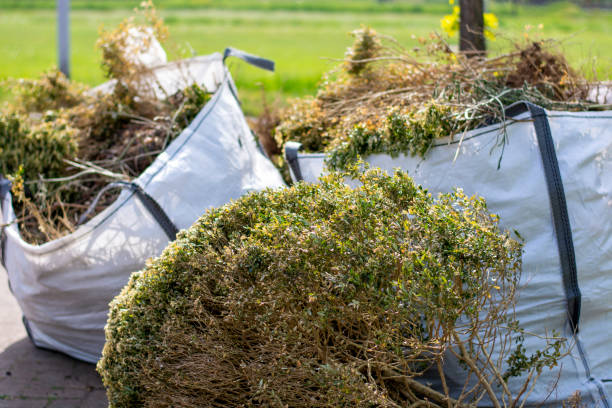 Recycling Services for Junk in Sierra View, PA